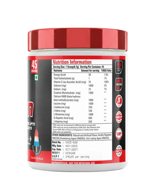 𝗕𝗜𝗚 𝗕𝗜𝗦𝗢𝗡