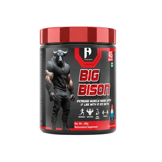 𝗕𝗜𝗚 𝗕𝗜𝗦𝗢𝗡